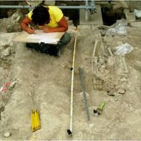 Fig. 12 Manual drawing of a skeleton