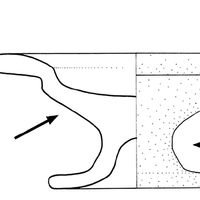 Fig. 2 Piatto su alto piede: le parti compositive