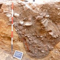 Fig. 7. Section with a grain ditch.