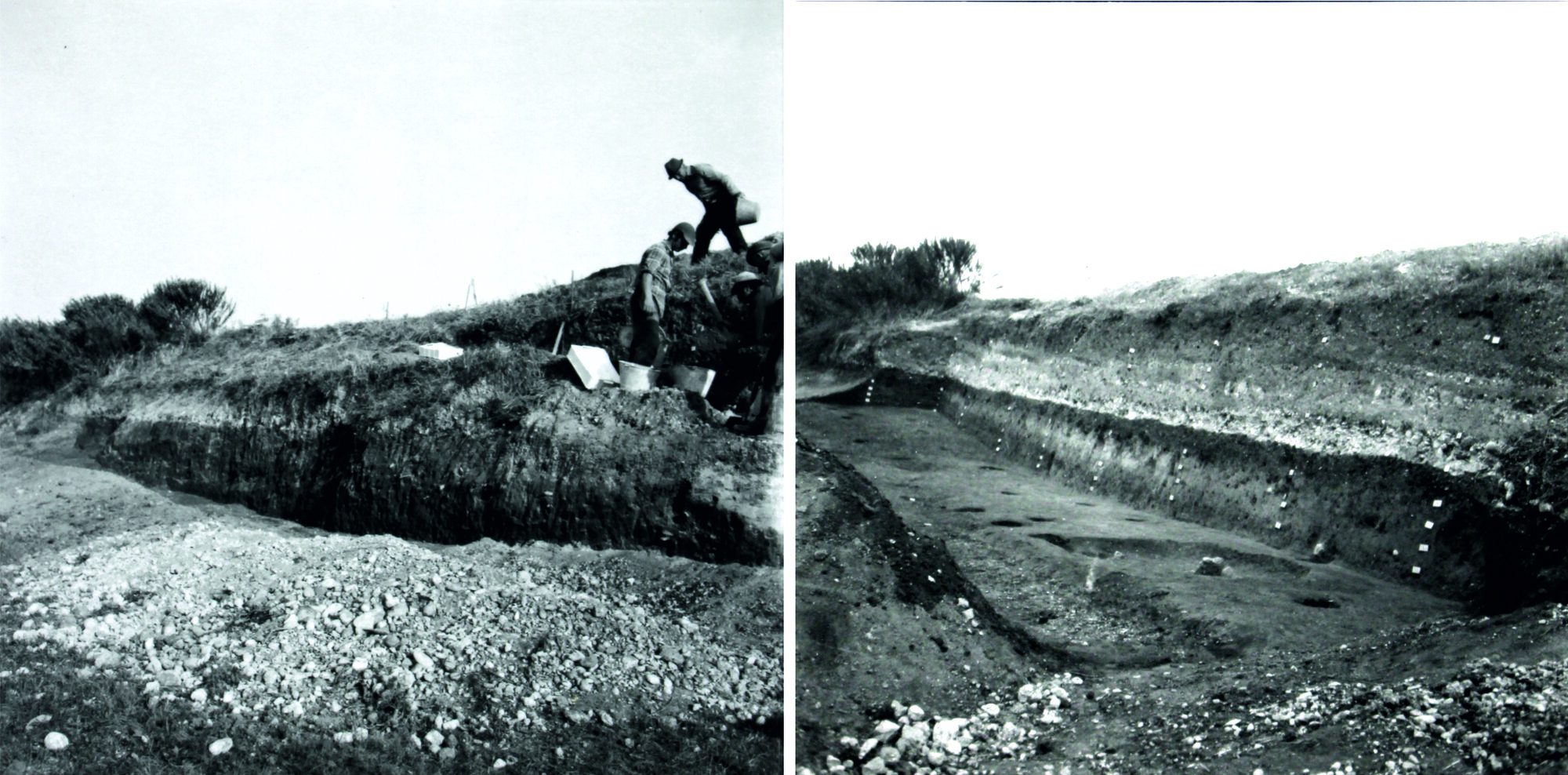 Figure 4 - The 1977 excavation on the north slope of Montarice. Left: the excavation of the escarpment in progress.
Right: the lowest level of the trench; visible are postholes and a lowered basin. Photo reproduced under permission
of the Soprintendenza Archeologia, Belle Arti e Paessaggio Marche Sud.