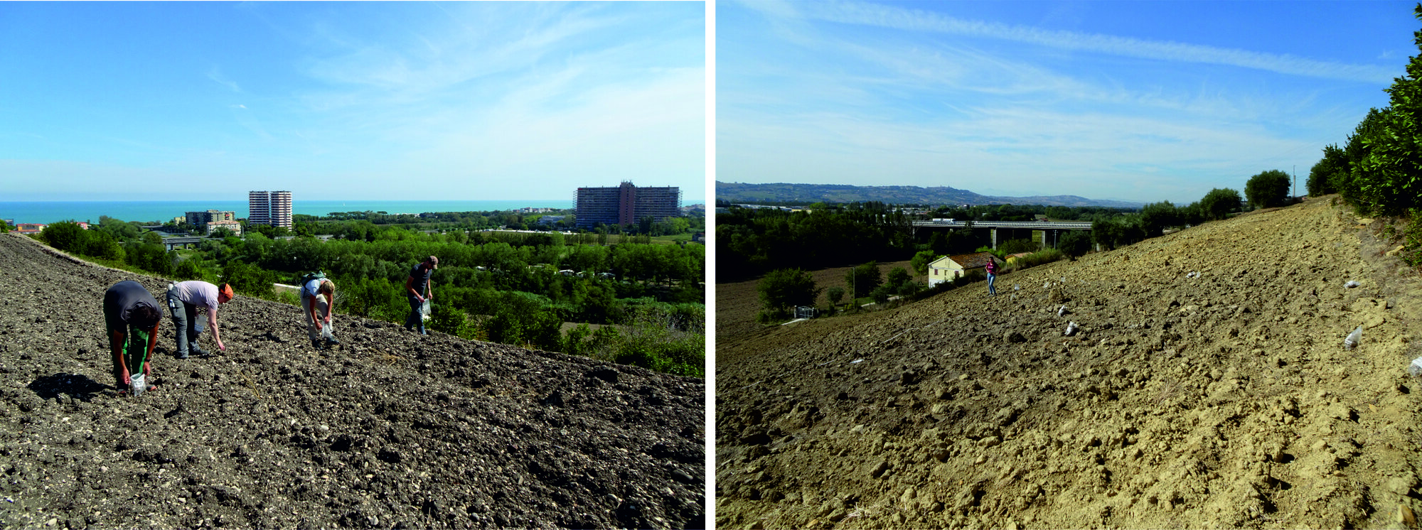 Figure 9 - Intensive re-survey at Montarice, September 2019. Left: view towards the SE at the border of the top
plateau, overlooking river Potenza and the coastal zone. Right: survey of the zone with the soil discoloration on the
south slope, related to the circular cropmark feature seen in the aerial imagery.
